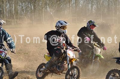 pitbike (145)